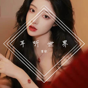 漂洋过海来看你.mp3