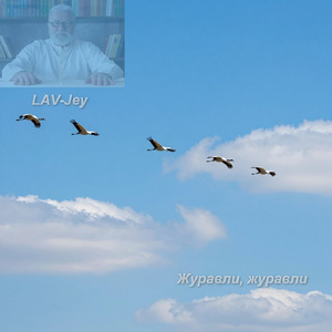 Свистнула пуля