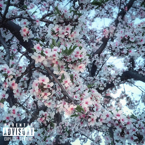 флай (feat. INDIKINO)