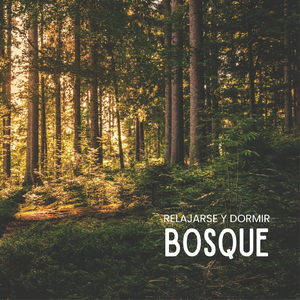 Relajarse Y Dormir: Bosque (P40)