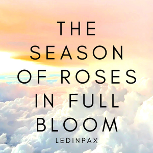 冬talk（Prod by.kumark）