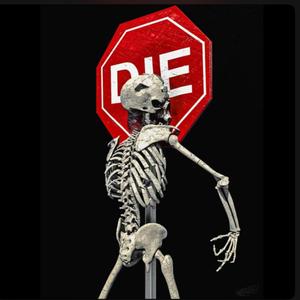 Why Die !? ☠︎︎ (AMP RDC Diss)