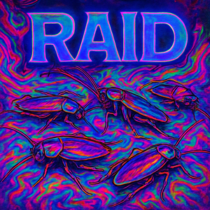 Raid