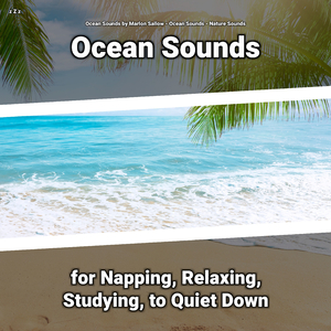 Sea Waves Sounds to Relax Your Body and Mind