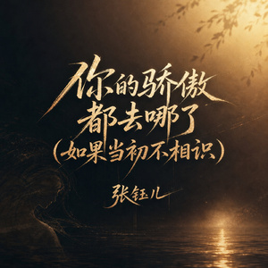 你的骄傲都去哪了(如果当初不相识)