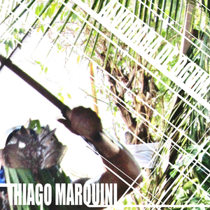 Respira Em Mim Xangô