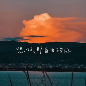 想做那自由的风（prod.tired）