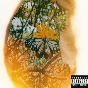 自由翱翔（Prod by Morrow）