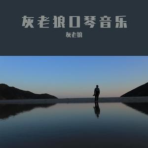洱海边-半音阶口琴