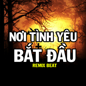 Người Lạ Thoáng Qua (Remix Beat)