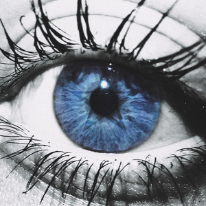 зВЕЗДНАЯ сЕЛЕБА