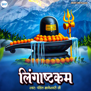 Lingashtakam