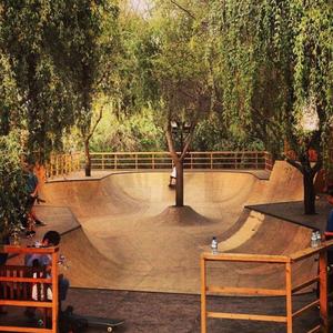 Wait Wait (feat. Dana)