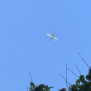 说太多不如沉默