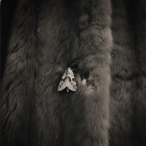 моль і самотність