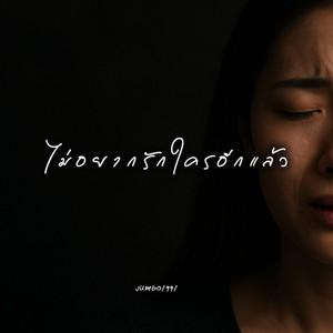 ไม่อยากรักใครอีกแล้ว