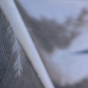 入梦前的温柔旋律