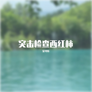 突击检查西红柿2