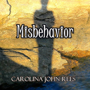 Misbehavior