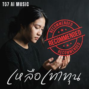 เหลือเท่าทุน