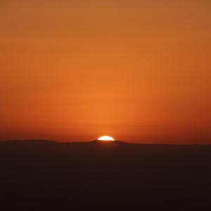 Amber Horizon