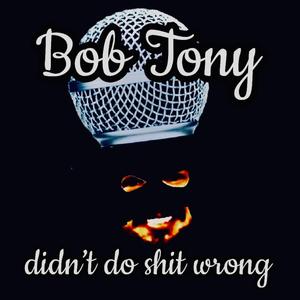 Didn't Do Shit Wrong