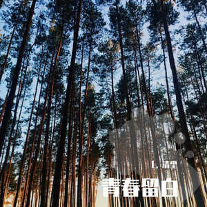 青春留白（翻自 黄榕生）