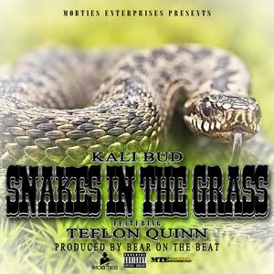 Snakes in the Grass (feat. Teflon Quinn)