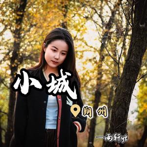 小城（朔州）