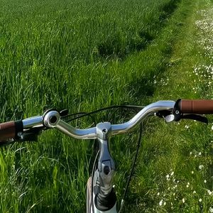 空白信纸的叹息