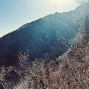 早春山记