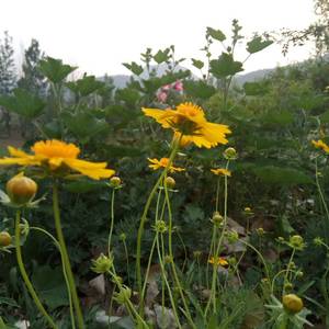 待我长发及腰-钟瑞