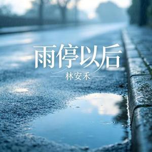 雨停以后