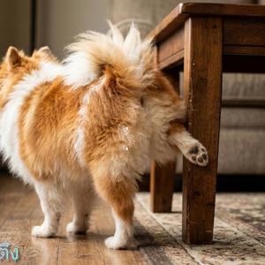 อาร์ทู ตัวตึง