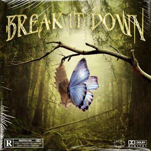 破茧 Break It Down