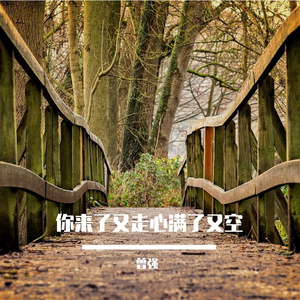你来了又走心满了又空