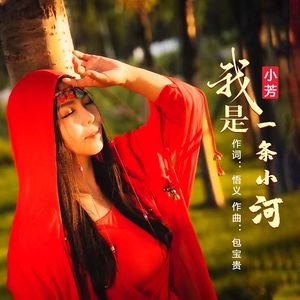 我是一条小河（DJ沈浪版）