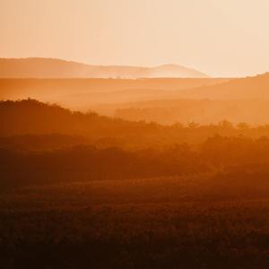 宝贝的摇篮曲-白噪音