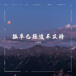 孤单已经迫不及待