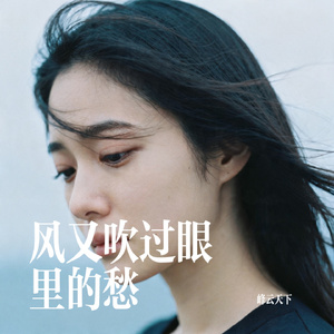 风又吹过眼里的愁
