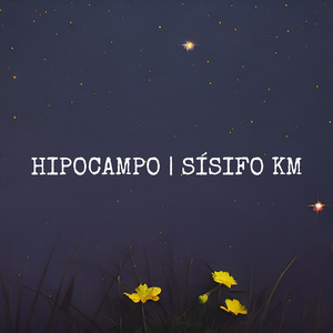 Hipocampo