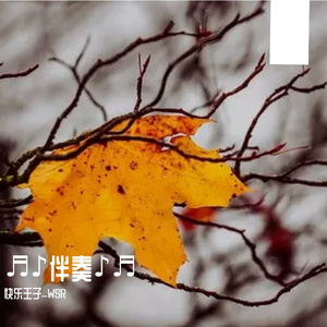 Aydig kaqlarda 伴奏