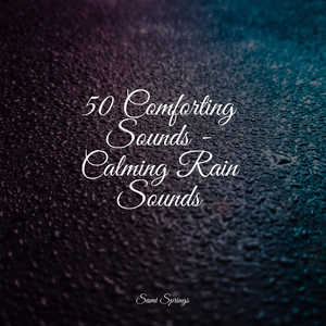 Rain, Vegetation, Wood, Heavy Wind