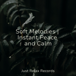 Moonlit Spellbound Melody