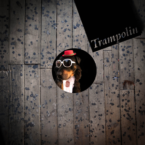 Olga Dancekowski (Audion's Paradise Cafe' Mix)