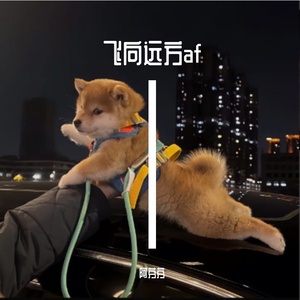 朝爱意绵延爱情