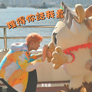 理得你话我蠢