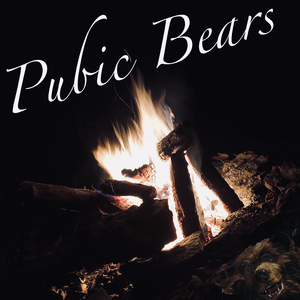 Pubic Bears (Live)