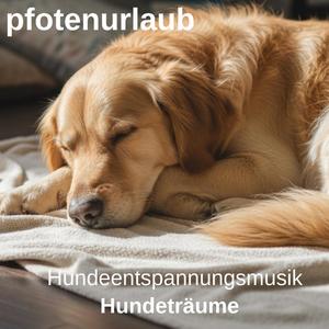 Hundeträume