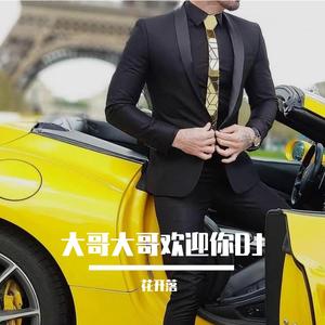 大哥大哥欢迎你DJ